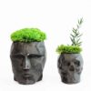 Dark gray geometric head and skull concrete planters filled with green preserved moss and a leafy sprig