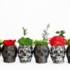 Black geometric skull concrete vases with green and red moss, flower, and foliage on white background