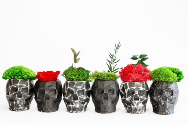 3D Concrete Vase with Reindeer Moss and Plants - Image 4