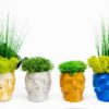 Geometric skull concrete planters in yellow, gray, and blue with reindeer moss and greenery