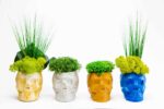 3D Concrete Vase with Reindeer Moss and Plants - Image 3
