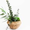 Preserved eucalyptus sprigs and green ball moss arranged in a natural textured coconut shell bowl.