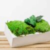 Rectangular concrete vase filled with preserved moss and plant accents.