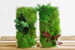 Concrete Vase with Ball Moss and Plants - Image 3