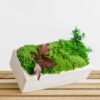 White geometric concrete planter with green moss and red foliage on a wooden slatted surface against a white backdrop.