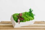 Concrete Vase with Ball Moss and Plants - Image 4