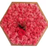 Hexagonal wall art with pink preserved reindeer moss and a red rose accent in a wood frame