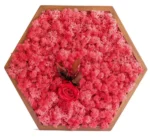 Hexagon Moss Wall Art with Preserved Reindeer Moss and Rose