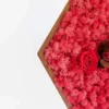 Hexagon wood frame corner filled with pink preserved reindeer moss and a single red rose, against a white background.