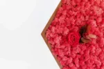 Hexagon Moss Wall Art with Preserved Reindeer Moss and Rose - Image 3