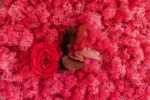 Hexagon Moss Wall Art with Preserved Reindeer Moss and Rose - Image 2