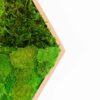 Detailed view of hexagonal wood frame filled with layered shades of preserved green moss
