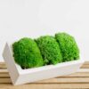 Rectangular concrete planter with preserved ball moss on a wooden slat surface.