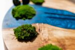 Round Wooden Watch with Ball Moss and Epoxy - Image 8