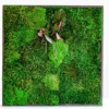 Square framed preserved moss wall art with textured foliage accents