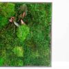 Square preserved moss wall art in a dark frame with mixed green mosses and central foliage against a white background