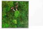 Moss Picture with Provence Moss, Cushion Moss and Leaves - Image 4