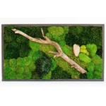 Moss Wall Art with Wood and Tinder Fungus