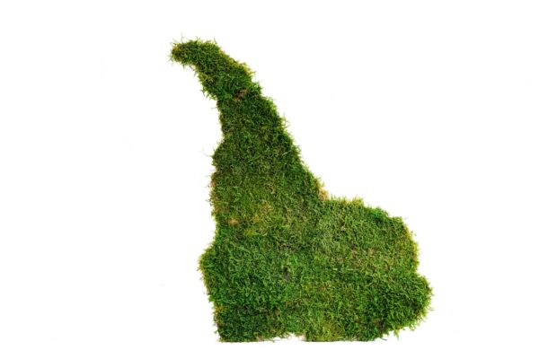 Flat Moss World Map - Continents - Image 3