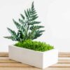 Rectangular concrete vase arrangement with preserved moss and fern greenery on wooden slats.