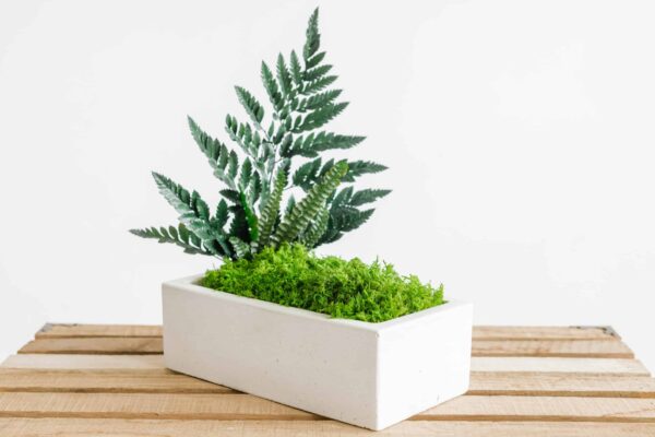 Rectangular concrete vase arrangement with preserved moss and fern greenery on wooden slats.