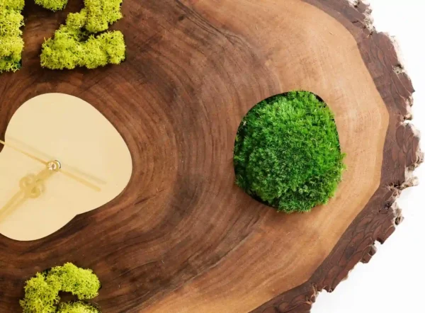 Wall Clock Made from Tree Slice with Pillow Moss and Reindeer Moss - Image 2