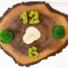 Live edge tree slice wall clock with preserved moss numerals and accents on a white background