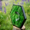 Side angle of black hexagonal moss wall art with preserved foliage, resting on a tree stump outdoors.