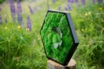 Hexagon with Ball Moss and Plants - Image 2