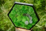 Hexagon with Ball Moss and Plants - Image 3