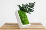 Concrete Vase with Fern Moss and Plants - Image 4