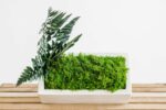 Concrete Vase with Fern Moss and Plants - Image 3