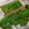 Open cardboard box packed with green preserved flat moss resting on a stone surface