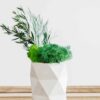 Geometric white concrete vase with green reindeer moss and foliage on a slatted wood surface