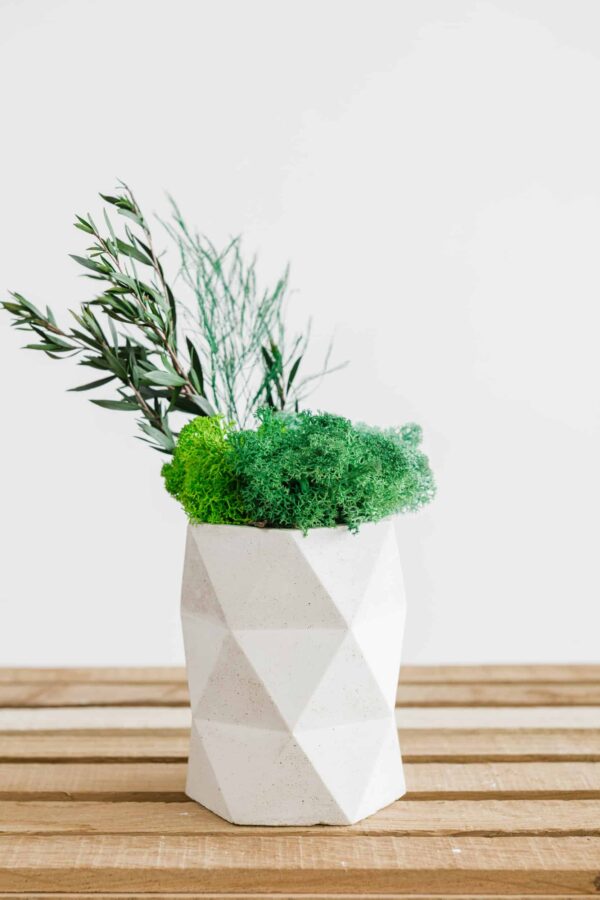 Concrete Vase with Reindeer Moss and Plants - Image 4