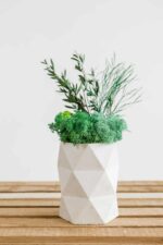 Concrete Vase with Reindeer Moss and Plants
