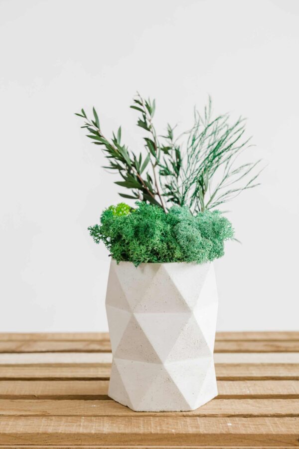Concrete Vase with Reindeer Moss and Plants - Image 2