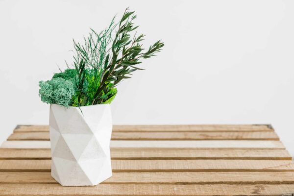 Concrete Vase with Reindeer Moss and Plants - Image 5