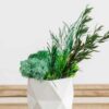 Close-up of green reindeer moss and preserved botanical sprigs inside a white geometric faceted concrete vase