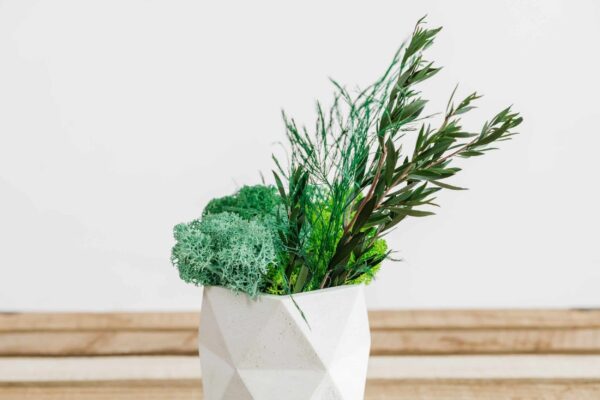 Concrete Vase with Reindeer Moss and Plants - Image 3