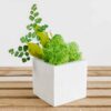 Square planter filled with preserved moss and foliage on a wooden surface