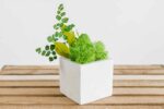 Square Concrete Vase with Iceland Moss and Plants