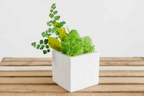 Square planter filled with preserved moss and foliage on a wooden surface