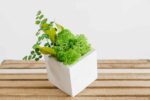 Square Concrete Vase with Iceland Moss and Plants - Image 2