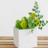 Angled view of a square concrete vase with preserved green moss and small fern leaves on wooden slats