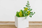 Square Concrete Vase with Iceland Moss and Plants - Image 4
