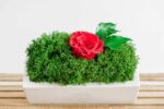 Concrete Vase with Moss and Rose