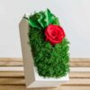 Angled view of an upright white concrete vase with dense green moss and a red rose blossom on a wood base