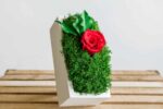Concrete Vase with Moss and Rose - Image 3