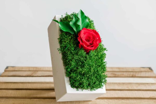 Concrete Vase with Moss and Rose - Image 3
